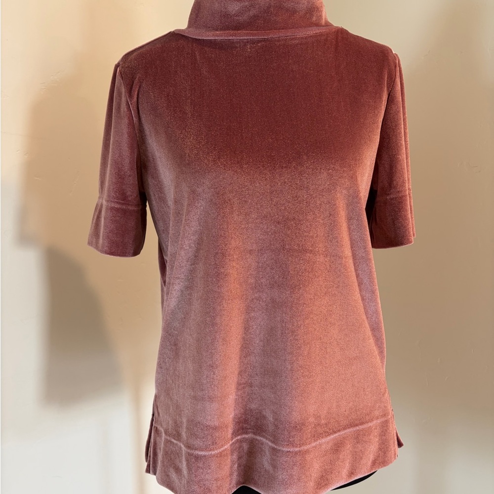 3/$15! Anthropologie Velvet Short Sleeve Top in Rose